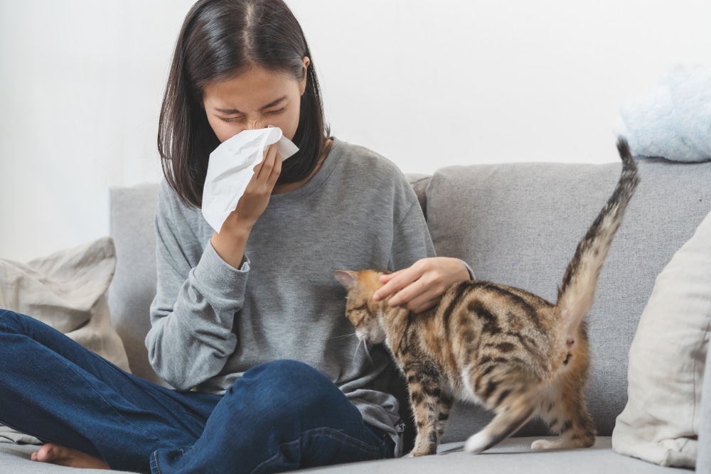 Aussie suffers from cat allergies