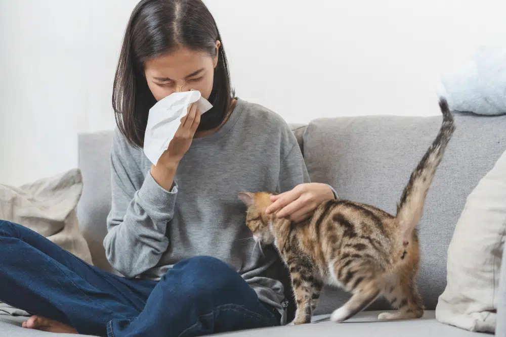 Cat Allergies! Dog Allergies! What to Do? PD Insurance