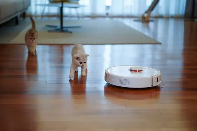 automated vacuum cleans up pet fur and dander to reduce pet allergies
