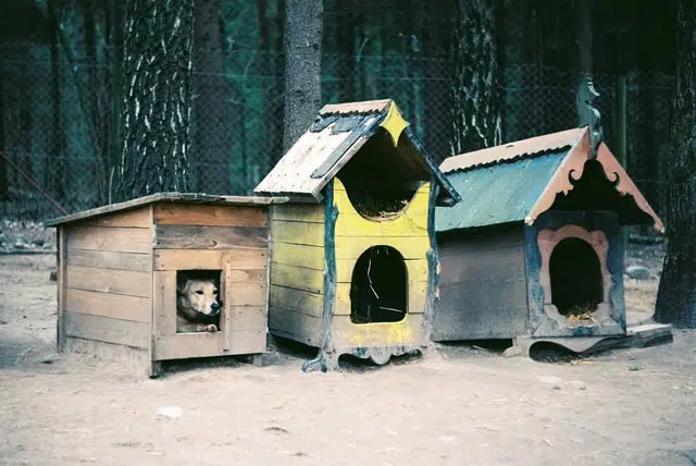 Three ornate dog kennels