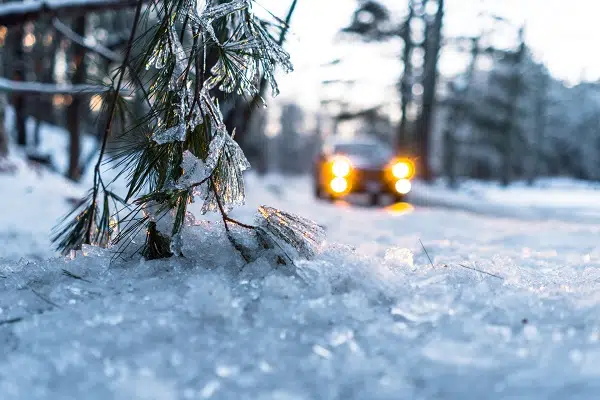 This image shows an icy pine tree in front of a road with a car on it that is doing a winter road trip vacation.