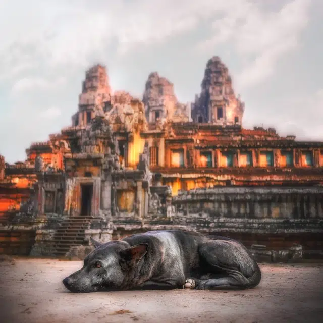 The Hindu Dog God is a sacred animal that protects and is a loyal servant. 