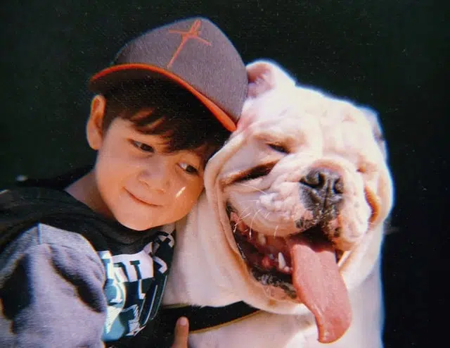 French bulldog with little boy