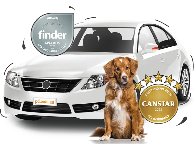 PD Insurance - Car & Pet Insurance for Australians PD Insurance - Car & Pet Insurance for Australians