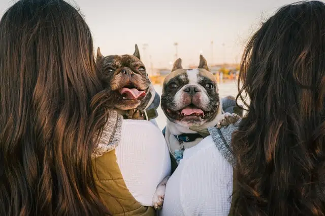 Ladies with their French Bulldogs