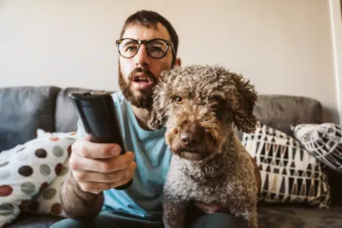 pet owner watches dog TV with his dog