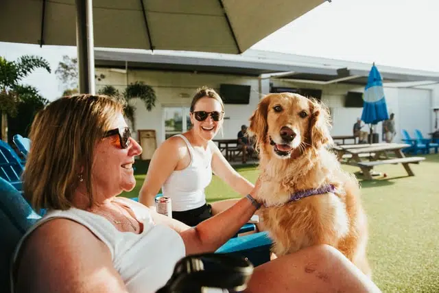 Pet owners take dog to dog spa