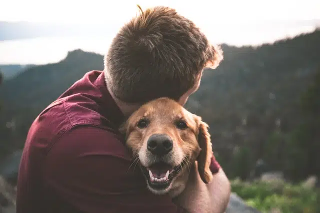 A man cuddling a Golden Retriever. He may be concerned about pet safety when it comes to domestic violence and pets