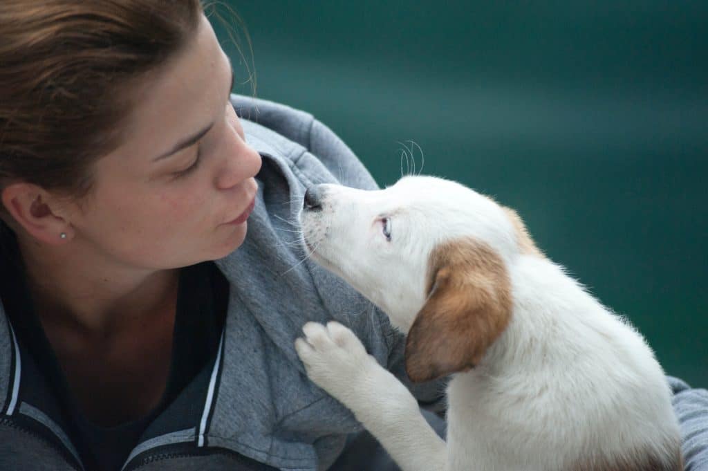This brown haired woman in a grey jacket kissing her white puppy wonders "Do dogs cry happy dog tears?"