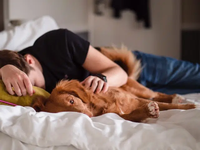 A dog rests alongside its owner