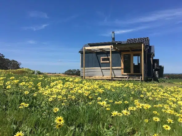 An outside view of Tiny Go Lightly, a cat and dog friendly accommodation spot