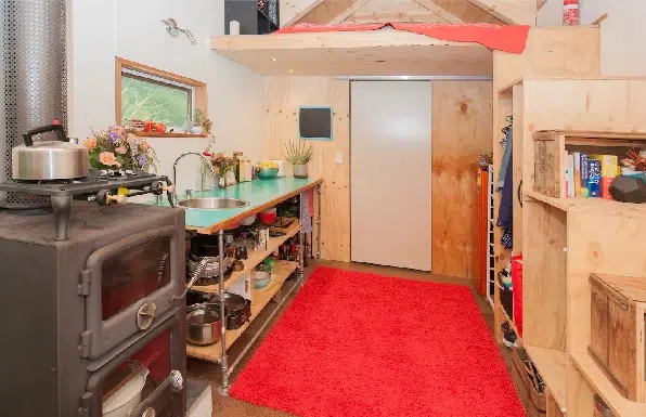 An outside view of Tiny Go Lightly, a cat and dog friendly accommodation spot