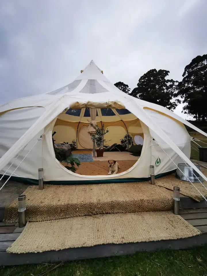 An outside view of The Top Paddock yurt, a cat and dog friendly accommodation spot