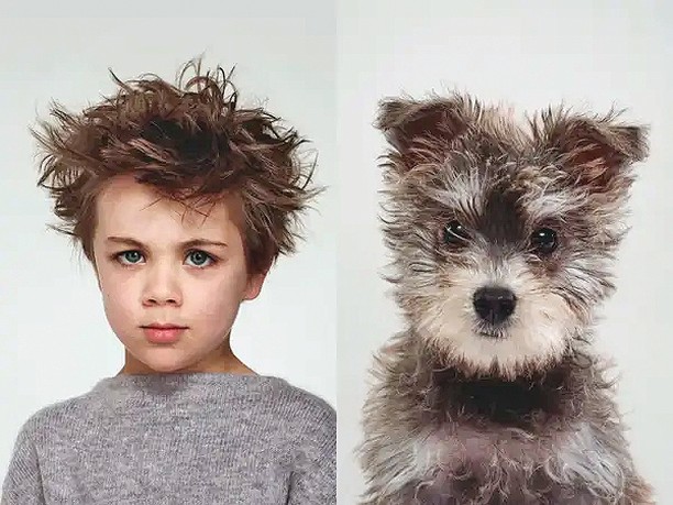 people who look like their dogs
