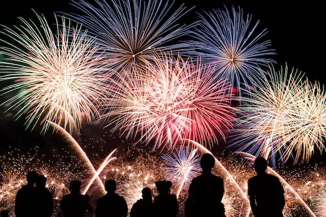 Your Guide to a Pet Friendly Diwali 2022 - PD Insurance