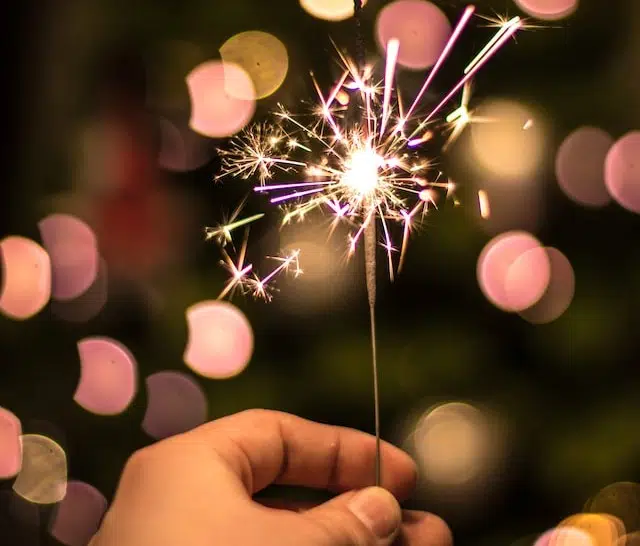 Keep dogs safe from fireworks during the festive season.