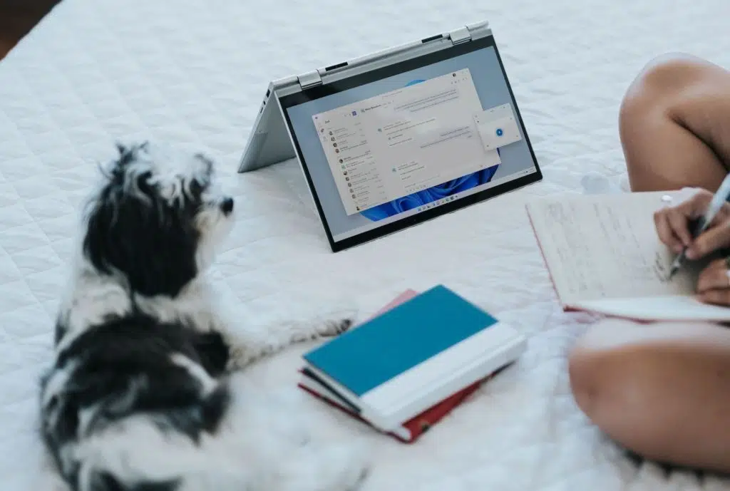 girl googles how to open a doggy daycare in Australia