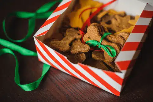 Christmas dog food recipes for healthy homemade dog cookies.