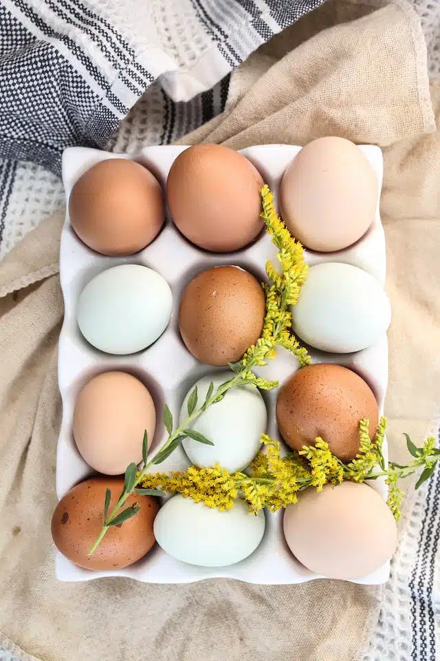 Some DIY dog dishes use boiled eggs for a protein hit.