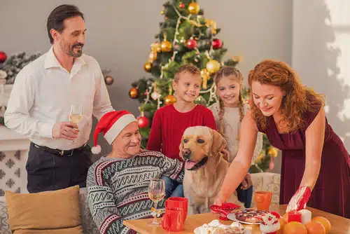 Christmas dog food recipes will help your canine feel part of the pack