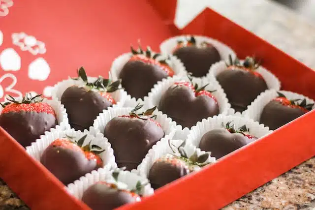 Chocolate is toxic to dogs and cats.