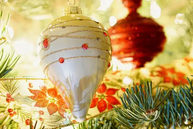 Christmas lights can be dangerous if dogs or cats bite or swallow them.
