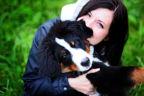 A woman kisses her border collie's head. He probably smells great from pet cologne and other pet care products