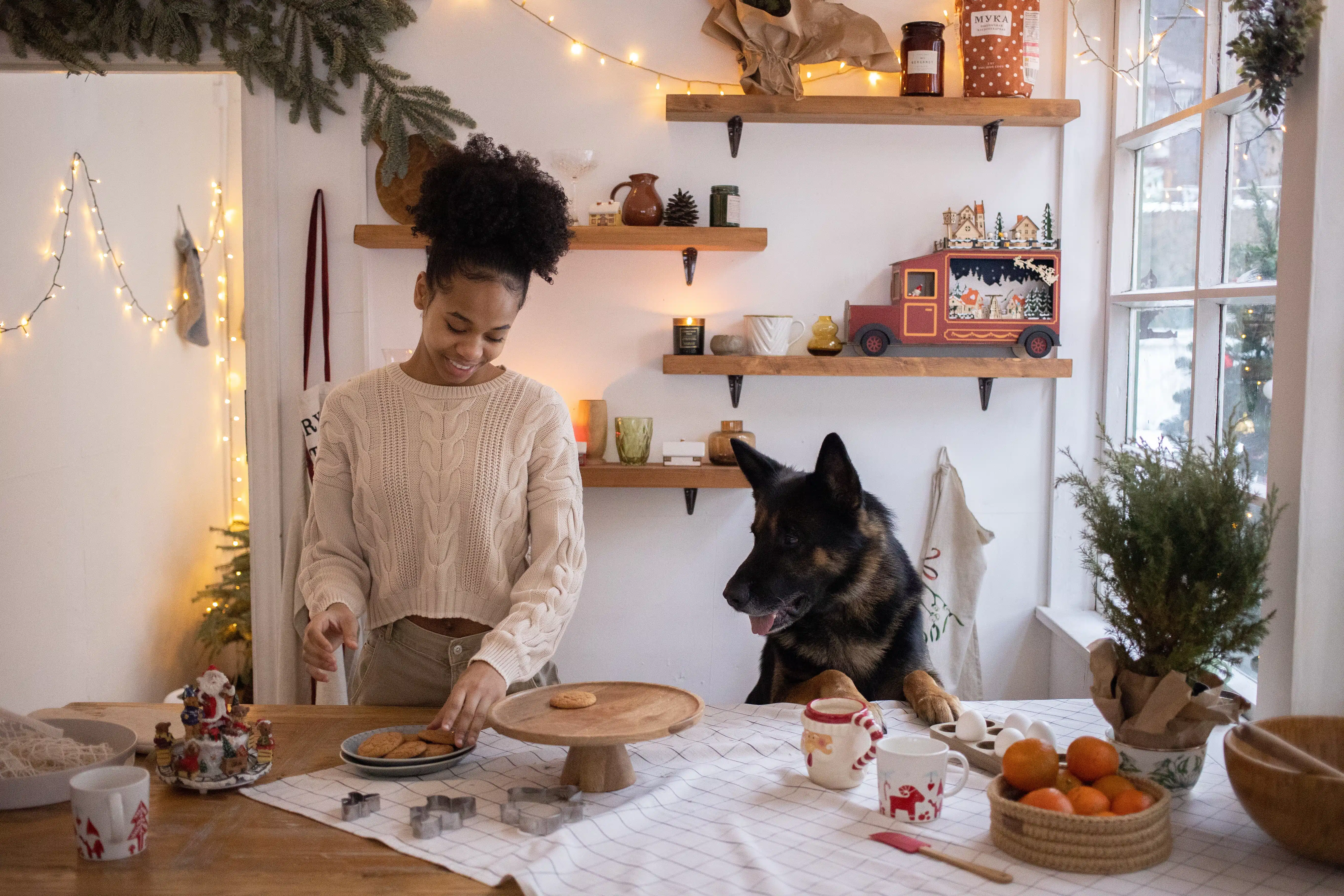 Can a dog eat vegetables? This pup creatainly wants cookies watches its owner prep a yummy meal.