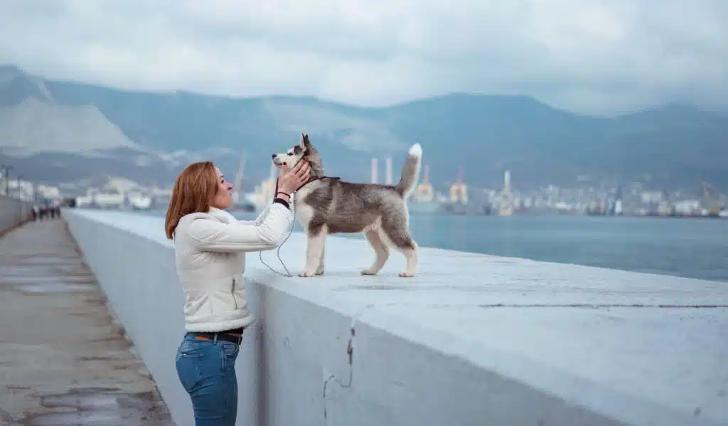 women plays with her adopted Husky at the harbourside