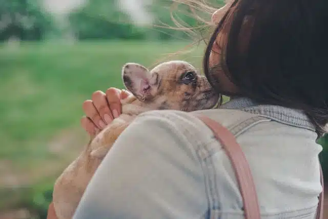women holds her new fur baby close to her chest to keep it calm in the dog park