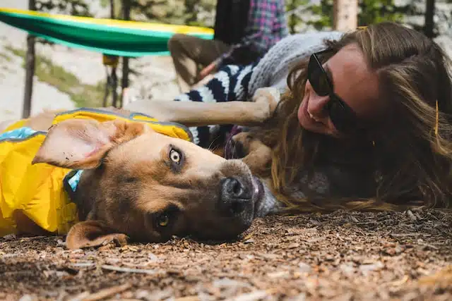 dog with hypotension lies down next to owner