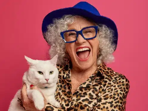Crazy Cat Lady Why Is It Still A Thing PD Insurance