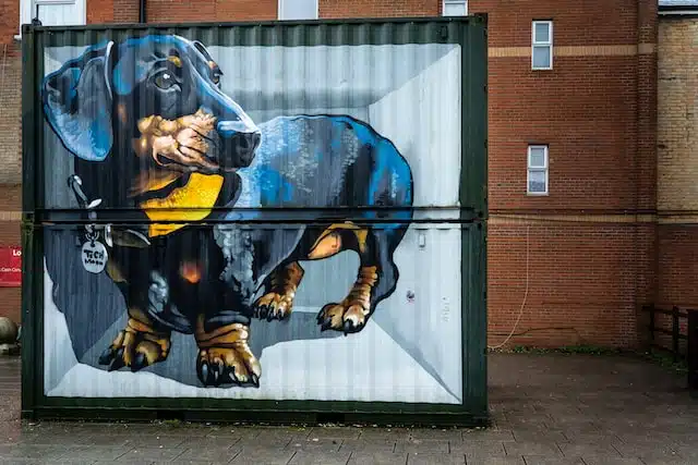 mural of a cute sausage dog