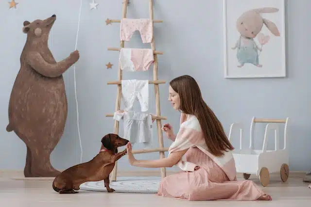 cute sausage dog gives a pregnant woman a high five