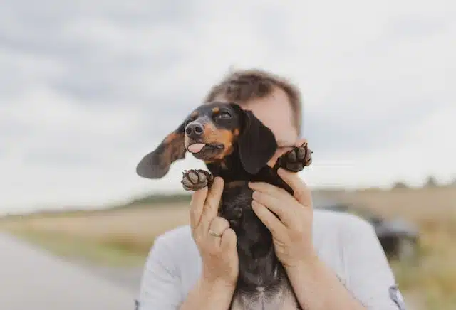 wiener dog with owner