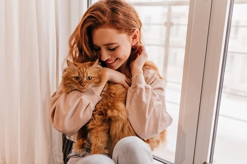 Relaxed smiling woman playing with her fluffy cat. the crazy cat lady stereotype endures in 2023