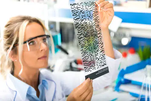 A geneticist examines results from a dog DNA test in Australia