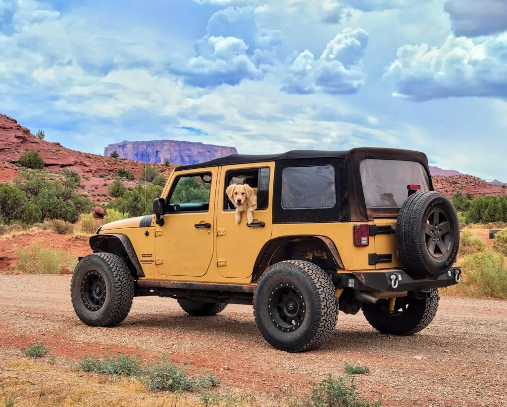 To jump into this yellow Jeep, this Golden Retriever dog uses a pet ramp, because its fur parents were serious about pet proofing the vehicle.