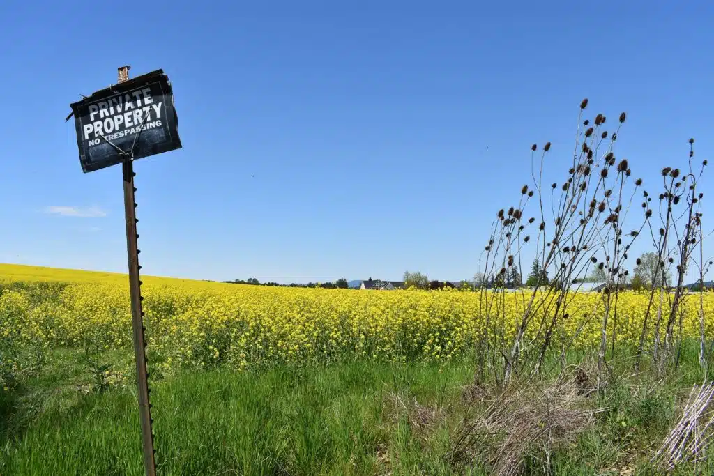 Australian road rules (e.g. seat belts, speeding) don't apply when you're driving on private land like this one.