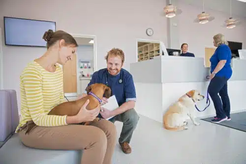 dog owners with their pup in the vet waiting room 