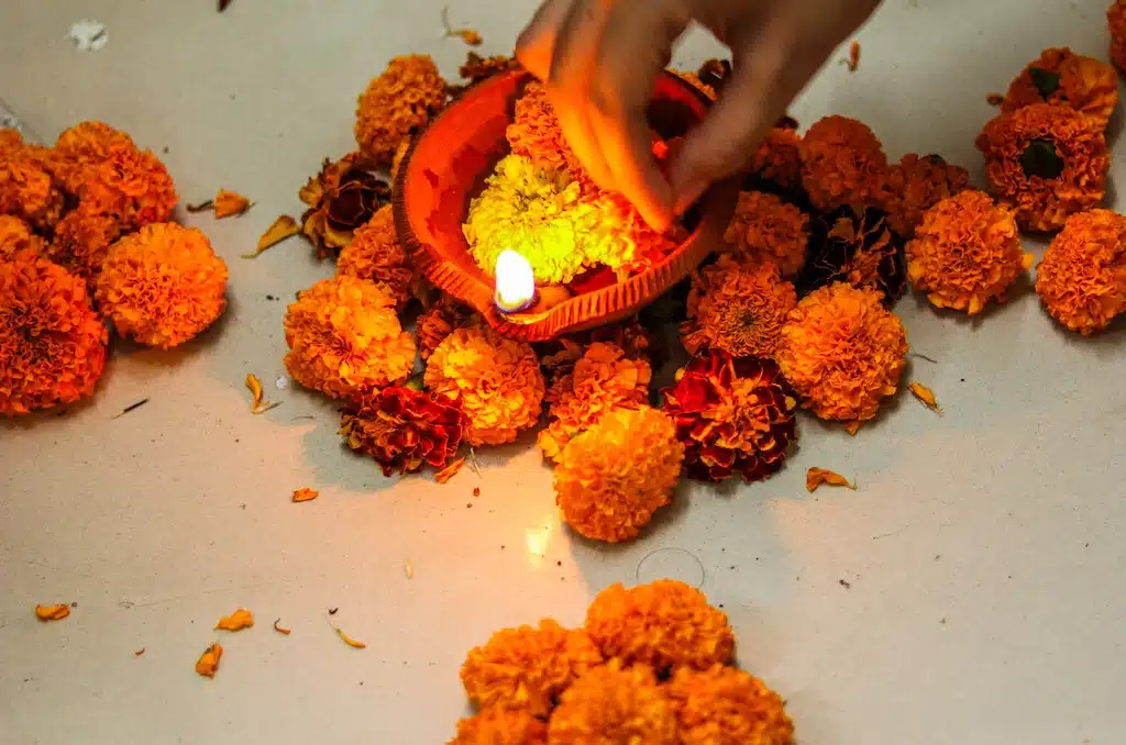 Every year during Tihar sacred animals like dogs are worshipped in several ways.