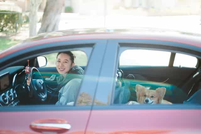 Lady waiting for roadside assistance in her car with her dog