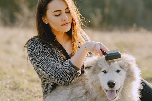 dog mum uses her Pet Mother's Day dog gift brush to groom her canine bestie