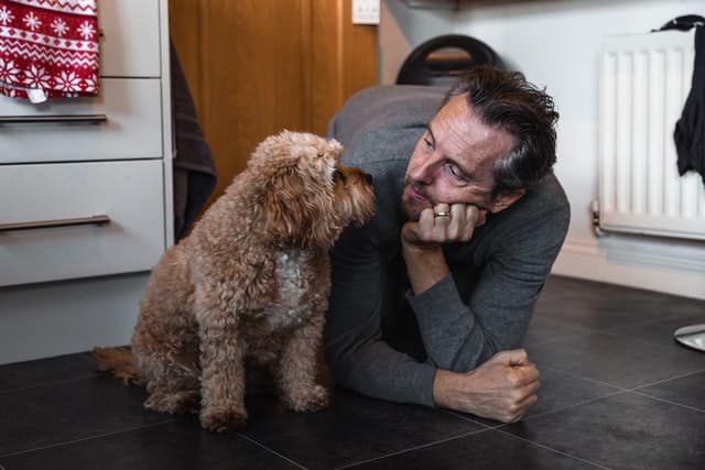 a doggy dad helps to calm their dog down by sitting side by side and talking to them