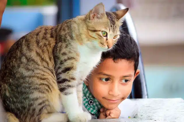 little boy sits side by side with his tabby cat which has agouti colour in its fur