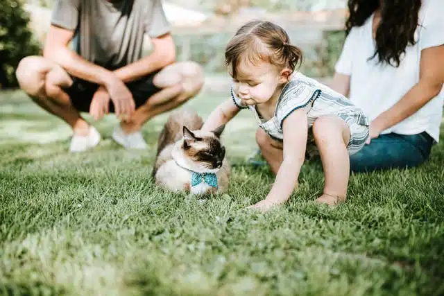 a family with a baby daughter sit on the grass with their pet cat