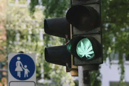 A traffic light with a cannabis sativa leaf represents the question how does cannabis affect driving?