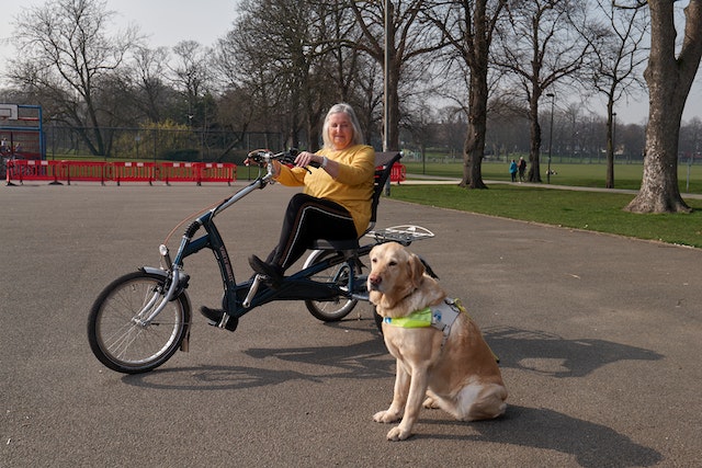 A woman with limited mobility rides a mobility bike alongside her Labrador Assistance dog (one of the most sought out assistance or service dog breeds).