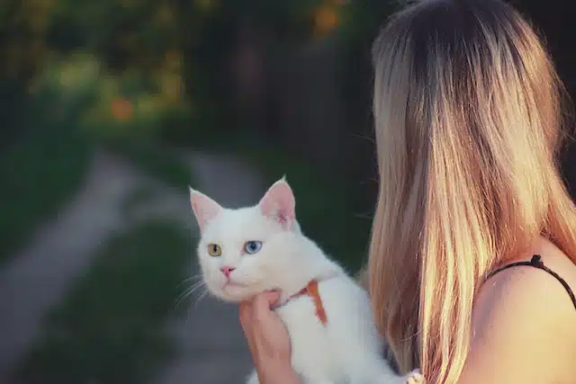 Woman holds her white cat that has one green and one blue eye