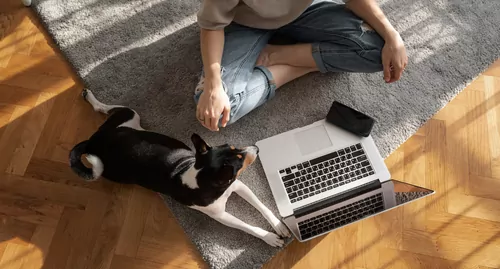 a women and her cat sit on the floor as she Googles 'best pet insurance' in the quest to choose the most suitable plan